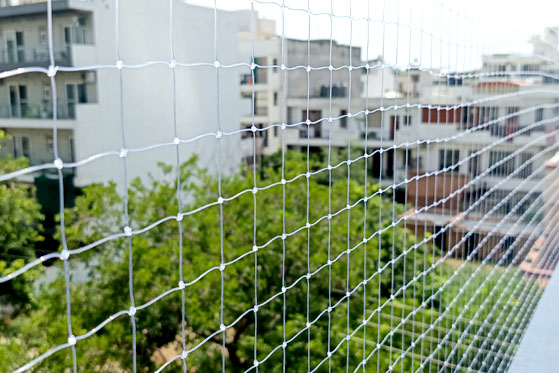 Bird Control Net
